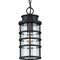 Progress Lighting Port Royal Collection One-Light Hanging Lantern with DURASHIELD P550061-031 - alternate 5